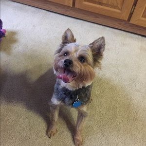 Meet your Posher, Joyce